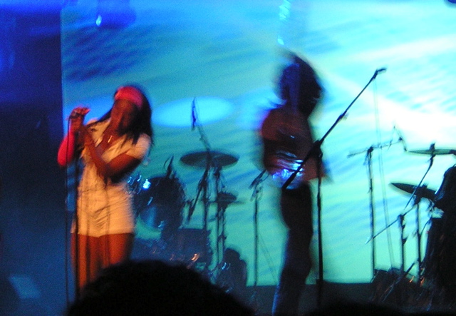 the go! team