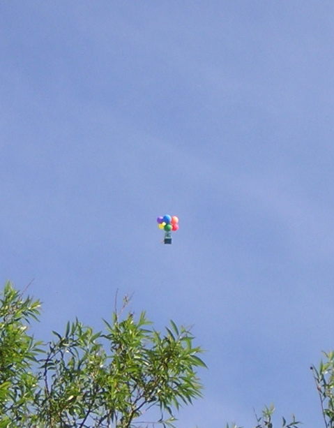 portaloo floating away on baloons