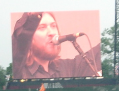doves