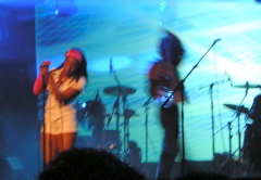 the go! team