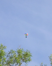 portaloo floating away on baloons