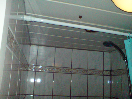 Snail on ceiling