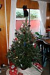 Christmas tree 2008