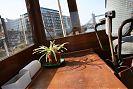 Wheelhouse shelf and spider plant