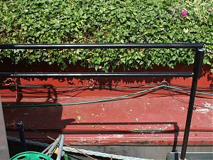 Short black railings