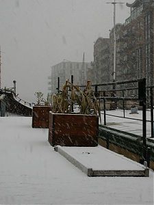 Snowing on hendrik's deck