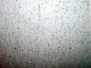 Ceiling mold in the wheelhouse